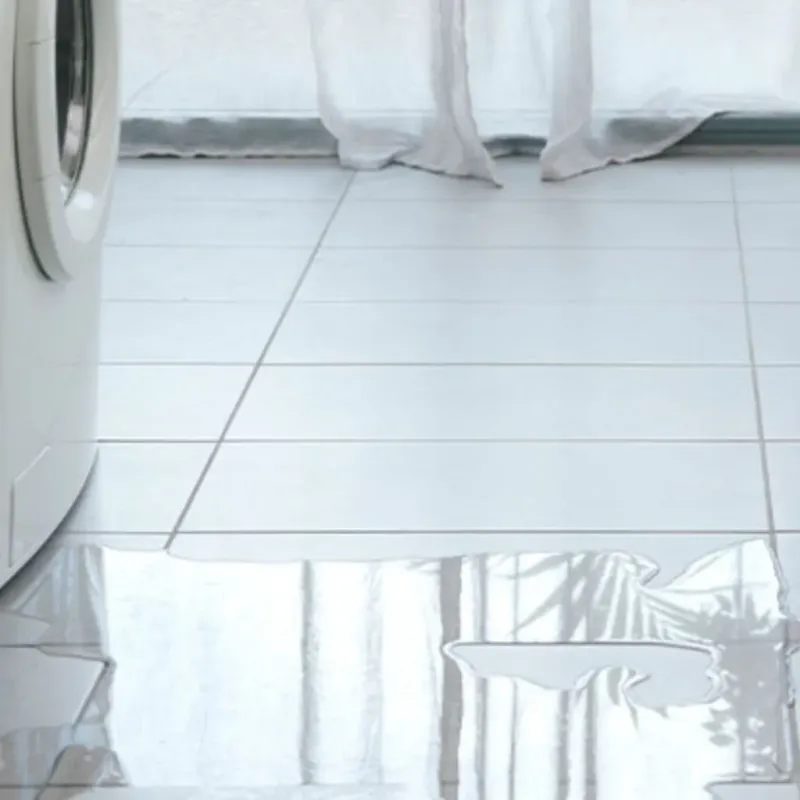 Appliance Leak Cleanup in Boise City, OK